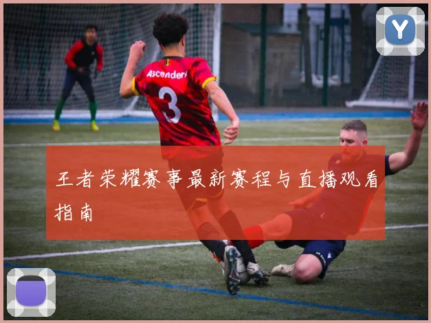 王者荣耀赛事最新赛程与直播观看指南